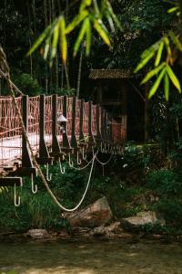 Příroda nedaleko rezortu