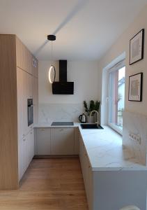 Kuchyň nebo kuchyňský kout v ubytování Apartament kaszmir 1