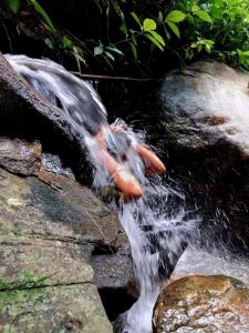 Φυσικό τοπίο κοντά σε αυτή η παραθεριστική κατοικία +2 φωτογραφίες