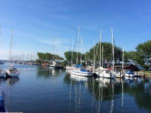 a group of boats are docked in a harbor at Orth C19 in Orth
