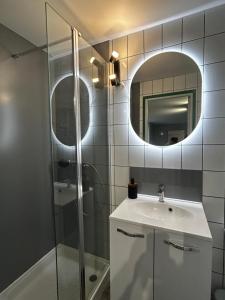 a bathroom with a sink and a mirror at Centre ville - Berthelot in Chamalières