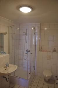 a bathroom with a shower and a toilet and a sink at Orth - E37 in Orth +15 photos