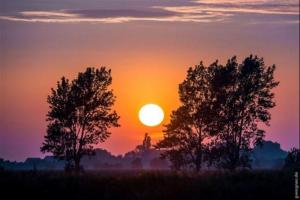 a sunset with two trees in a field at Surf and Chill in Orth