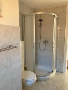 a bathroom with a shower and a toilet in it at Orth Poststraße 8 EG in Orth