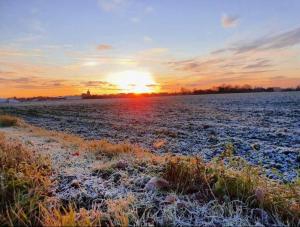 a frost covered field with the sunset in the background at Orth Poststraße 8 EG in Orth