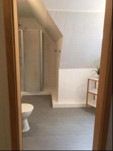 a bathroom with a toilet and a shower at Lichtblick in Petersdorf auf Fehmarn