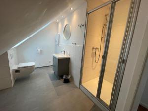 a bathroom with a shower and a toilet and a sink at Welcome in Petersdorf auf Fehmarn +12 photos