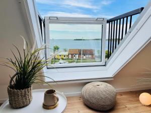 una stanza con una grande finestra e una pianta di meerBLICK a Orth