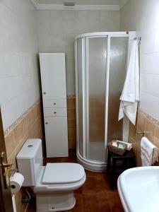 een badkamer met een douche, een toilet en een wastafel bij La Casa Del Platero in Ronda +19 foto's