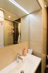a bathroom with a sink and a mirror at Lozenets Apartment in Sofia +30 photos