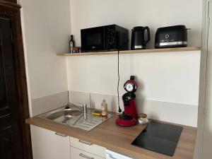 un bancone da cucina con un lavandino e un forno a microonde di T2 Centre ville - rdc ad Angers