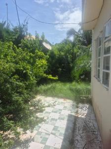 a walkway next to a building with grass and trees at Sabel's Retreat in Elephant Island