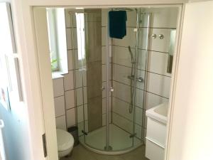 eine Glasdusche in einem Badezimmer mit Toilette in der Unterkunft Ferienwohnung Zaunkönig in Beuren