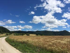 eine unbefestigte Straße mitten auf einem Feld in der Unterkunft Ferienwohnung Zaunkönig in Beuren