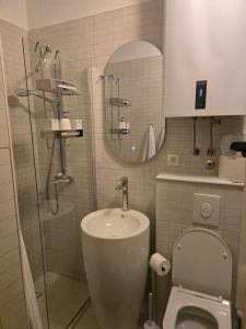 a bathroom with a shower and a toilet and a sink at Apartments iris in Brela +44 photos