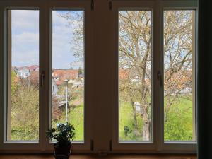 three windows in a room with a potted plant at Bahnhof Grombach in Bad Rappenau