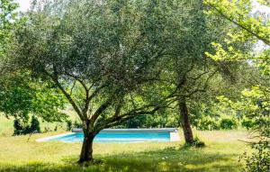 Swimmingpoolen hos eller tæt på Mas Piscine Proche Uzès