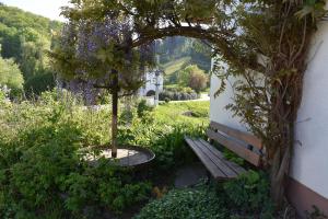 a garden with a bench and a tree with purple flowers at Ferienwohnung Wiedergrün in Durbach
