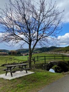 einen Picknicktisch neben einem Baum und einem Zaun in der Unterkunft Rozando el mar en puerto calderon in Oreña