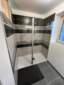 a shower in a bathroom with black and white tiles at Appartement cosy rénové dans une ancienne longère in Chemilly-sur-Yonne