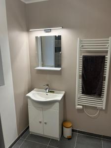 a bathroom with a white sink and a mirror at Appartement cosy rénové dans une ancienne longère in Chemilly-sur-Yonne