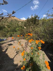 Φυσικό τοπίο κοντά σε αυτό το καταφύγιο +2 φωτογραφίες