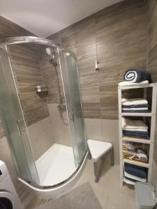 eine Dusche im Bad mit einem Stuhl und Handtüchern in der Unterkunft Apartma Melita in Rovte + 6 Fotos