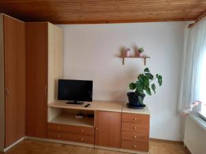 Zimmer mit einem Schreibtisch, einem TV und einer Anlage in der Unterkunft Apartma Melita in Rovte