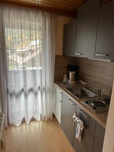 Η κουζίνα ή μικρή κουζίνα στο Ski und Therme 1