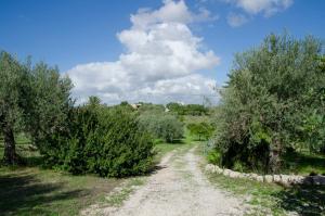 einen Feldweg mit Bäumen in der Unterkunft Casa Degli Aromi in Noto