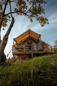 a house on top of a hill with a tree at Гора Глэмпинг in Besqaynar