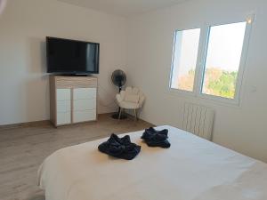 a bedroom with a bed and a flat screen tv at Belvédère du bonheur in Samatan