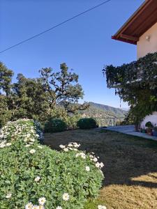 a garden with white flowers and a house at Buransh Retreat in Jageshwar