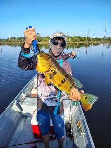 Επισκέπτες που μένουν στο Pousada Vila Madeira +27 φωτογραφίες