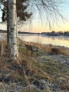 a bench sitting next to a tree next to a lake at 60m2 studio w sauna in a semi-detached house in Lapinkangas in Oulu
