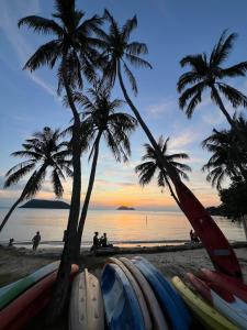 a group of surfboards on a beach with palm trees at House&Spa in Koh Phangan +26 photos