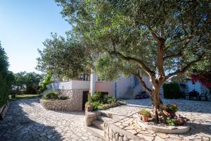 a tree in the middle of a stone walkway at Apartments with parking space Povljana, Pag - 6298 in Povljana