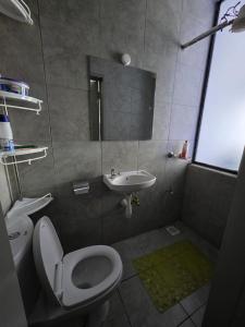 a small bathroom with a toilet and a sink at Be Happy Homes Tsavo Fedha 513 in Nairobi