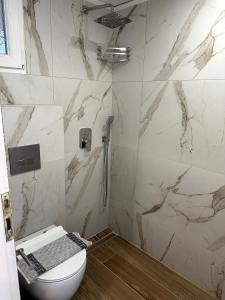 a bathroom with a toilet and a marble wall at Athos studio in Análipsis