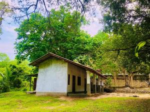 una pequeña casa en un campo con árboles en Thalpathwewa Cave Temple,  14 fotos más