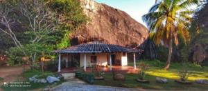 una pequeña casa con techo de paja y una palmera en Thalpathwewa Cave Temple, 