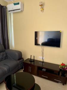 TV a/nebo společenská místnost v ubytování Watra Apartments