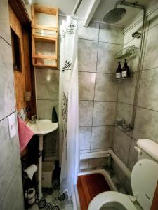a bathroom with a shower and a toilet and a sink at Casa Nido Tiny House in El Chalten +13 photos