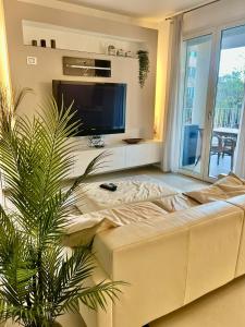 TV a/nebo společenská místnost v ubytování RIMINI Urban Suite Apartament
