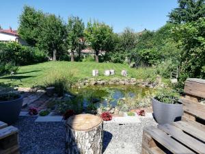 a garden with a pond in the middle of a yard at Apartments with parking space Osijek, Slavonija - 19366 in Osijek