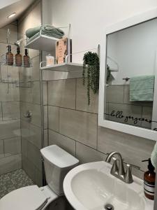 a bathroom with a sink and a toilet and a mirror at Jungle House Luxury Stays - Columbus Downtown Short North in Columbus +17 photos