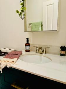 a bathroom sink with a bottle of soap and a mirror at Jungle House Luxury Homes - Columbus Downtown Short North - Steps to Convention Center & Nationwide Arena - Sleeps up to 8 - Free Parking - Over 5,800 Five Stars in Columbus