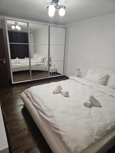 Gallery image of Brianna Apartament in Alba Iulia +11 photos