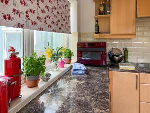 a kitchen with a counter with potted plants on it at Springfield Bungalow in Cliftonville