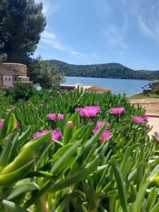 Příroda nedaleko prázdninového domu